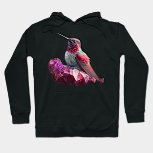 Crystal Hummingbird perched on Crystals Hoodie